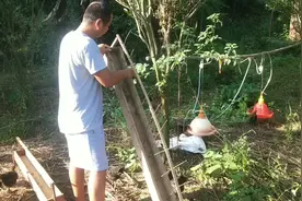 简单教你做个喂鸡食槽，既不会浪费鸡食料，又干净卫生鸡少生病。