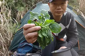 户外人野外找的下火食材，简单实用又健康视频封面