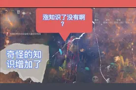 第五人格:游戏里的快捷语言竟然可以换，长知识了