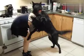 异国他乡的表姐跟狗狗在家里玩耍，很是有爱的一幕！视频封面