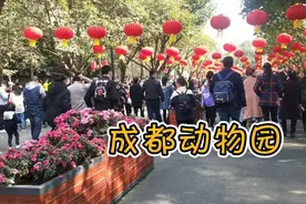 过年去逛成都动物园，人山人海，挤不进，遗憾很多动物都没看到视频封面