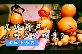 为什么文玩葫芦个头越小价格越贵？其实仅仅是由于这个原因。视频封面