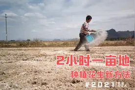 农村小伙新方法种植花生，2小时种一亩地，效率真高呢视频封面