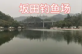坂田钓鱼场风景还不错。视频封面