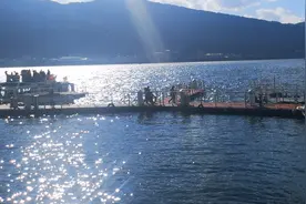 美死了，海鸥咬人了（原创）