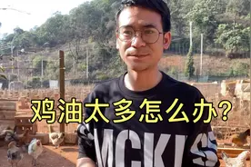 鸡油太多影响口感，喂鸡很讲究，这样喂鸡15天轻松改善！视频封面
