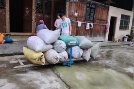 农村鸭毛也能卖钱，小娟一共11袋才卖1557元，不知你那里什么价格视频封面