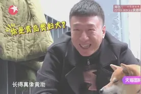 孙红雷看到这只狗都服了，长得太像黄渤了视频封面