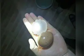 5月17日山东特大冰雹，真的比鸡蛋还要大