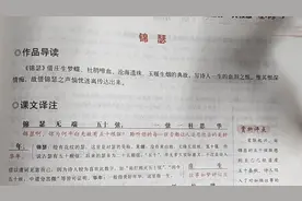 李商隐的《锦瑟》讲了什么呢？五十弦象征着什么呢？满满的悲伤视频封面