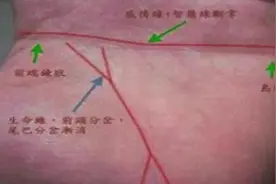 很多朋友在问，我也是断掌，为什么跟断掌描述不符，看看真假断掌