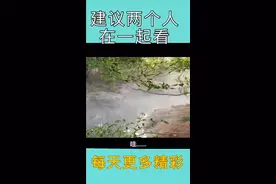 太搞笑了，老外化粪池游泳视频封面