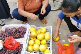 5元一个柚子，3斤至4斤至5都没有自个人买视频封面