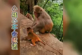 下垂的意思是:下巴有点低垂，下垂