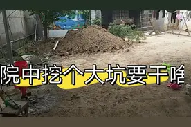 徐州丰县农村院中挖大坑要干啥？为啥要在院子中间挖？网友：纳闷视频封面