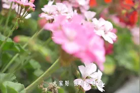 性腺非肾上腺 这些知识你不一定懂