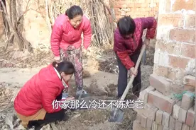 山东大妈带闺女和东北儿媳妇大冷天挖洋姜，儿媳第一次见太逗了视频封面