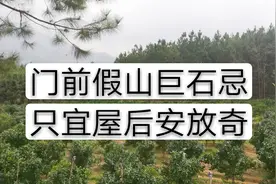 您认为“门前假山巨石忌，只宜屋后安放奇”的说法有道理吗