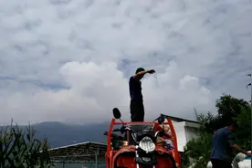 辛苦一上午，收获慢慢一提喽平菇，有口福了😀️视频封面