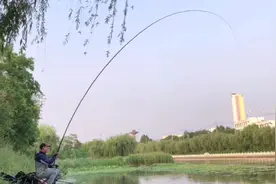 试钓团户外首测，“国民品牌”光威御威鲤，又一款用不坏的鱼竿