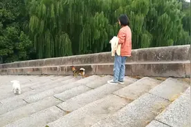 爱心桥上遇到爱心女士，暖意融融
一一寻访湖州潘公桥上的偶遇视频封面