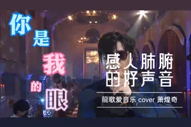 华语金曲30年回忆录，这首《你是我的眼》感动了多少人？