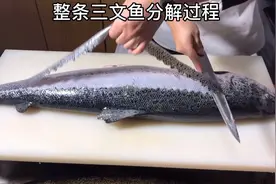 厨师长教你，整条三文鱼分割全部过程，你会了吗？
