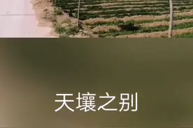 天气真好啊！看能不能把麦苗烧死？把改厕后抽出来的粪水直接浇麦视频封面