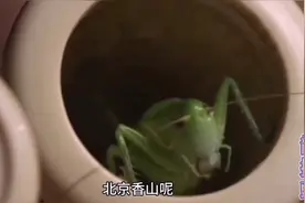 首都北京的山脉有哪些，香山、西山、军都山，太行山，燕山……视频封面