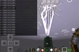 我的世界：指令教程