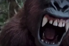 一群猎人捕获了一只大猩猩，突然出现一个野人！