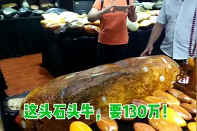 你见过最贵的和田玉是多少钱的？老板说用一套房子都不换！天价啊视频封面