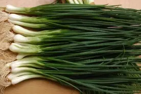 香葱如何保存？饭店大厨教我小诀窍，一年买两次就够了，真实用视频封面