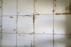 快速去除瓷砖上的水泥，就是这么简单，太省事了！视频封面