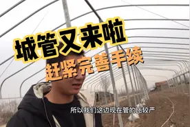 建设大棚一定提前做好备案视频封面