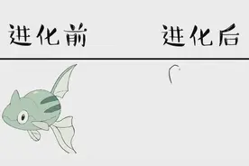 铁炮鱼进化前VS进化后，进化后连物种都变了，这才是真身吗？