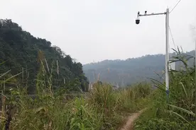 中越边境线上严惩偷渡客，一路天眼摄像头，天网恢恢想都不要想偷视频封面