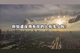 你知道深圳有房的人有多少码？名下两套的多少吗？三套的多少？