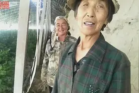 在新疆大棚种好也挣钱！1个棚2亩地1亩2万元。10个棚多少钱视频封面