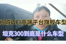 坦克300基于长城WEI高端打造旗舰车型，性价比三大件到底怎样？