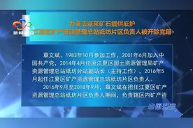 为他人非法盗采提供庇护 江夏区一负责人被开除党籍视频封面