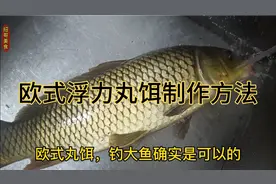 欧洲人不外传的神饵配方，欧式浮力丸饵的配方，助你大鱼拉到手软