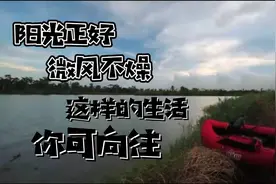 乘风而来 踏浪而归  御“鱼”而行 是一种什么样子的体验？视频封面