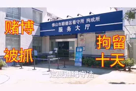 顺德看守所，小伙因赌博被抓拘留十天，难忘的铁窗生活，远离赌博视频封面