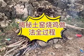 土窑烧鸡吃过吗，揭秘土窑烧鸡做法全过程，成品出来大家争着吃