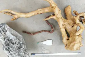 鱼缸景观是用502粘的？咱们用测试结果，告诉你502能不能用