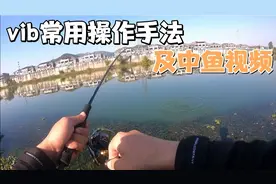 天气慢慢冷起来  路亚还能上鱼吗？ 一起来研究一下vib的操作手法