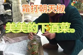 霜打的朝天椒，放点盐腌一下，很好的下酒菜。视频封面