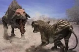 方舟生存进化，恐颌猪vs短面熊视频封面