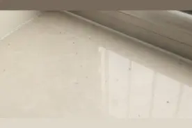 家里惊现小虫尸体，清理一波又来一波，教您一个方法轻松除虫！